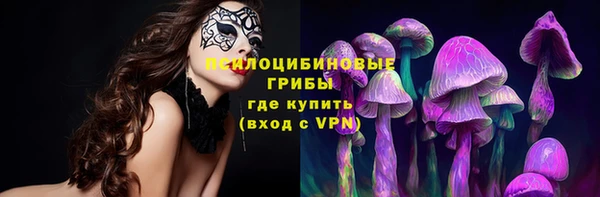 гашик Сатка