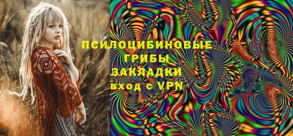гашик Сатка