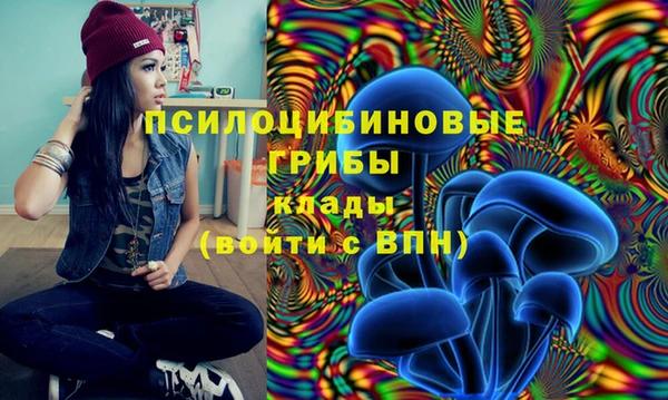гашик Сатка