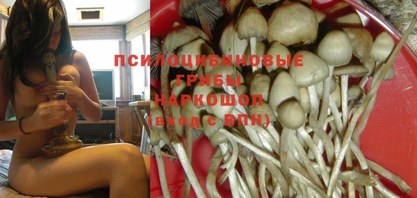 гашик Сатка