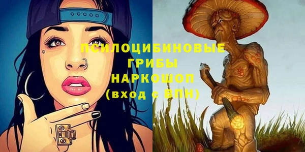 индика Абдулино