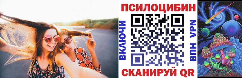 купить  сайты  Ермолино  Галлюциногенные грибы Psilocybine cubensis 